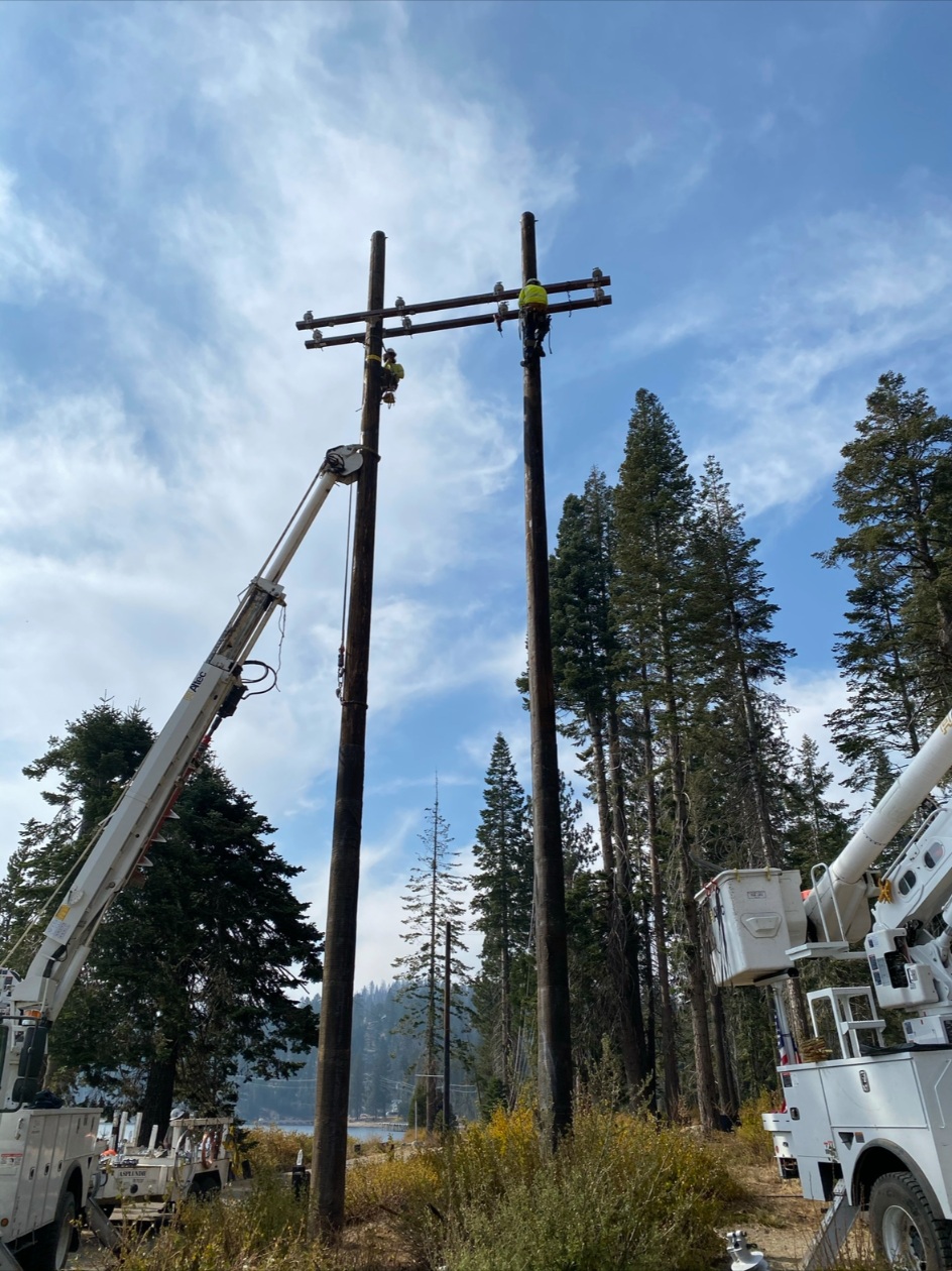 Lineworkers on two utility poles surrounded by bucket trucks and forest